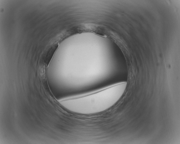 X0000084570425200702230914