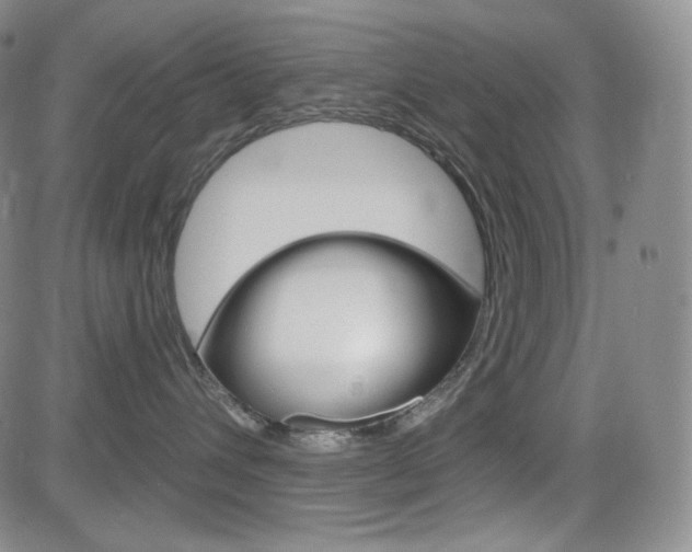 X0000084570432200702230914