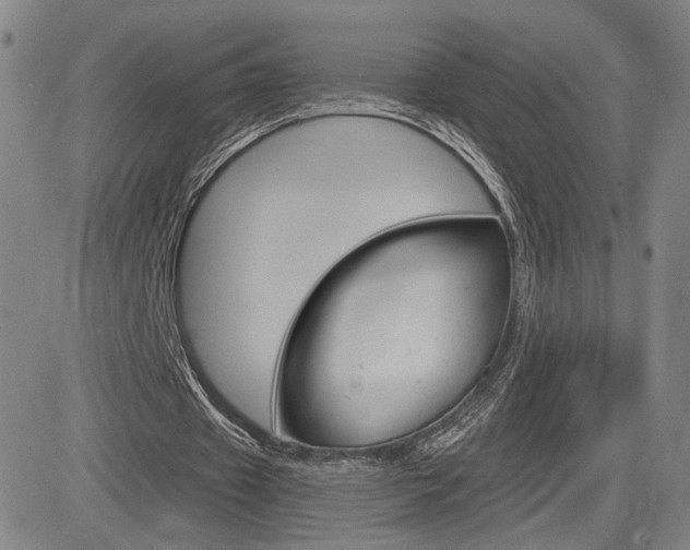 X0000084570433200702230913