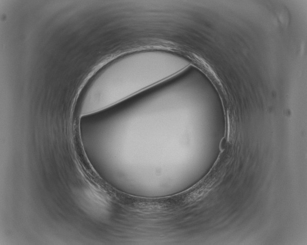 X0000084570435200702230913