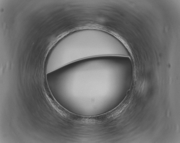 X0000084570437200702230914