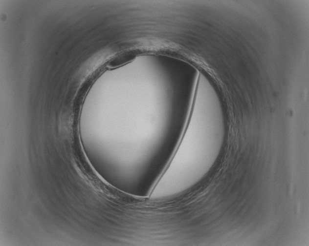 X0000084570440200702230914