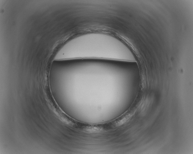 X0000084570453200702230914
