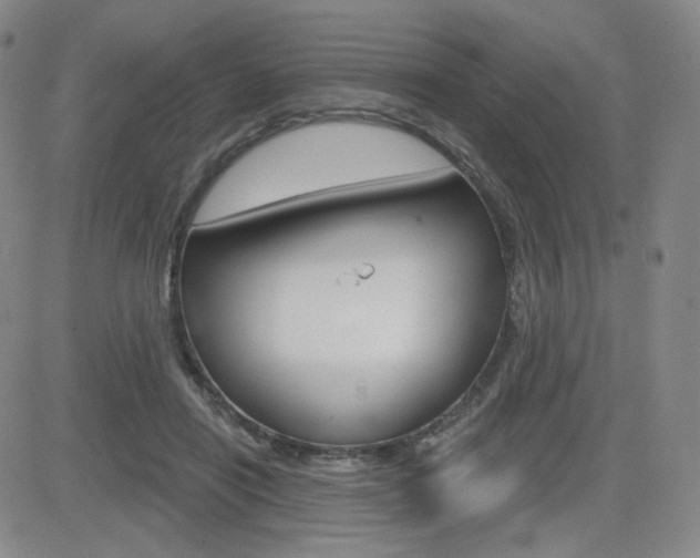 X0000084570454200702230914