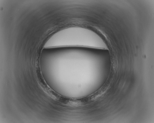 X0000084570455200702230914