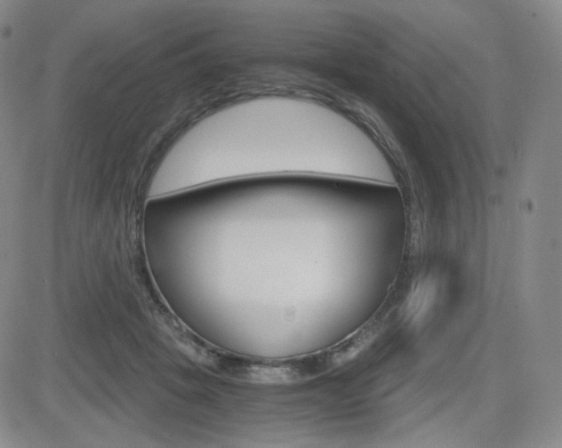 X0000084570457200702230914
