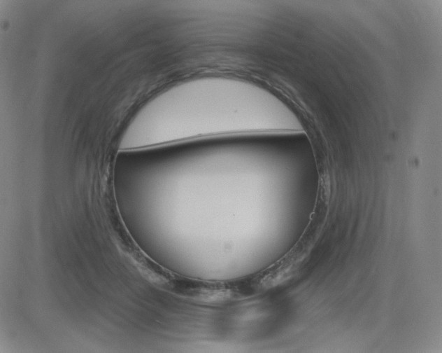 X0000084570458200702230914