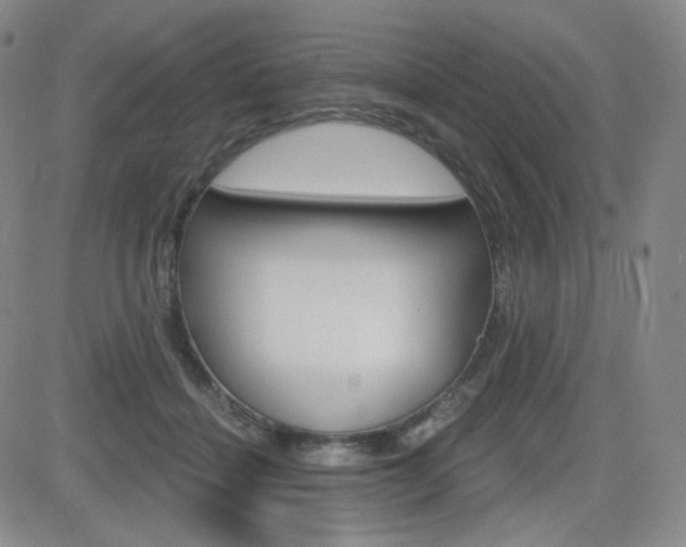 X0000084570460200702230914