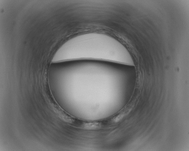 X0000084570461200702230914
