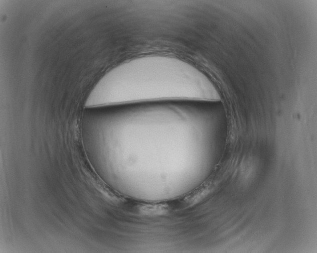 X0000084570465200702230914