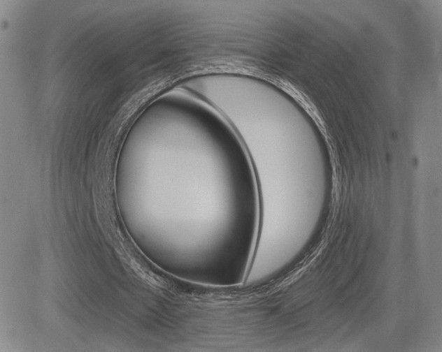 X0000084570481200702230913