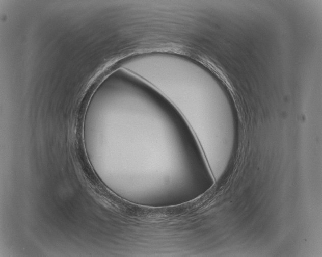X0000084570483200702230913