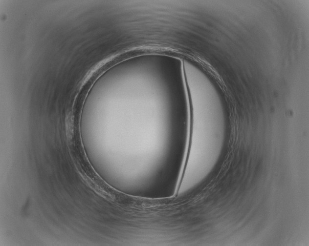 X0000084570484200702230913