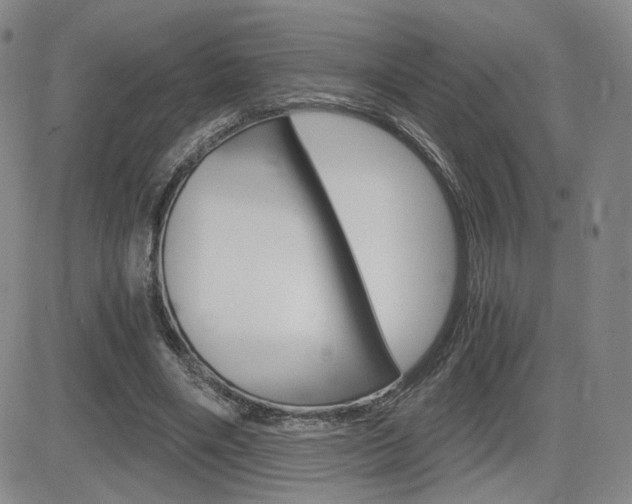 X0000084570490200702230913