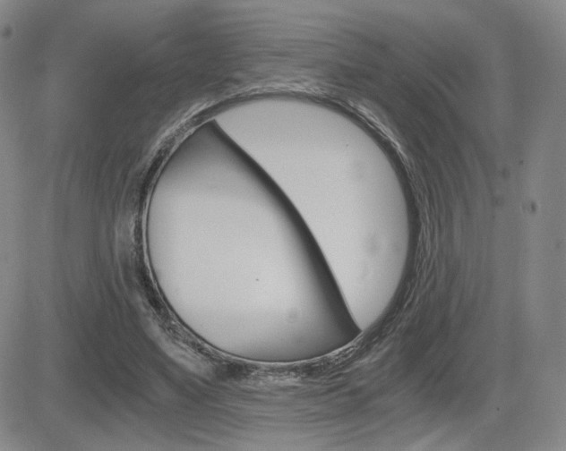 X0000084570491200702230913