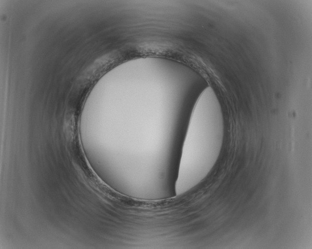 X0000084570498200702230913