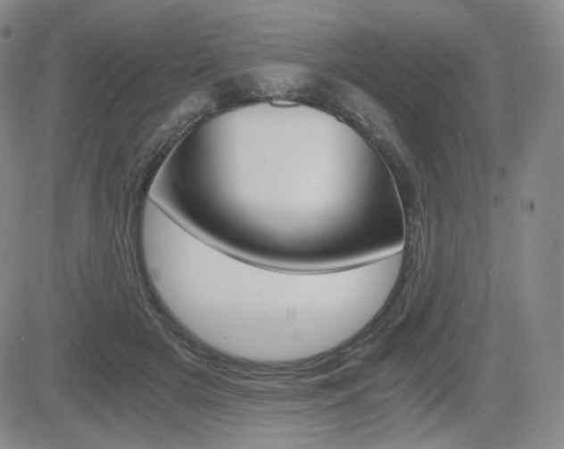 X0000084570505200702230913