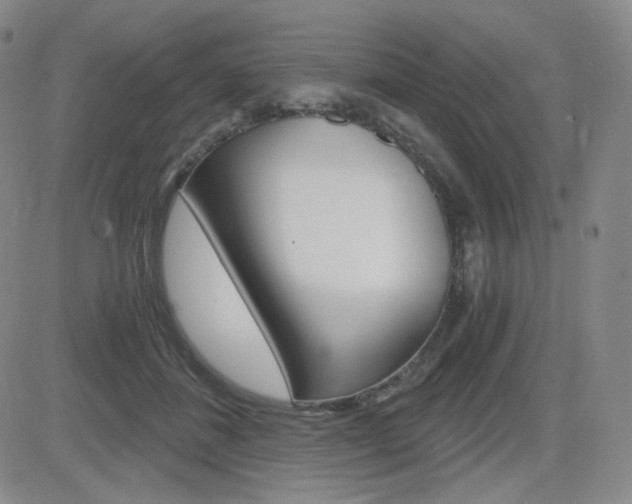 X0000084570508200702230913