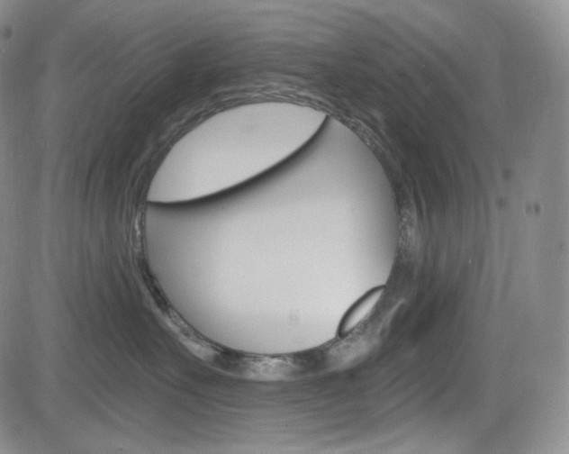 X0000084570527200702230913
