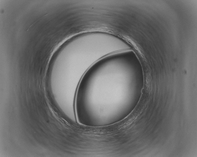 X0000084570532200702230912
