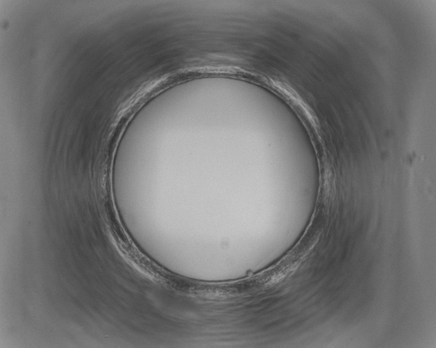 X0000084570533200702230912