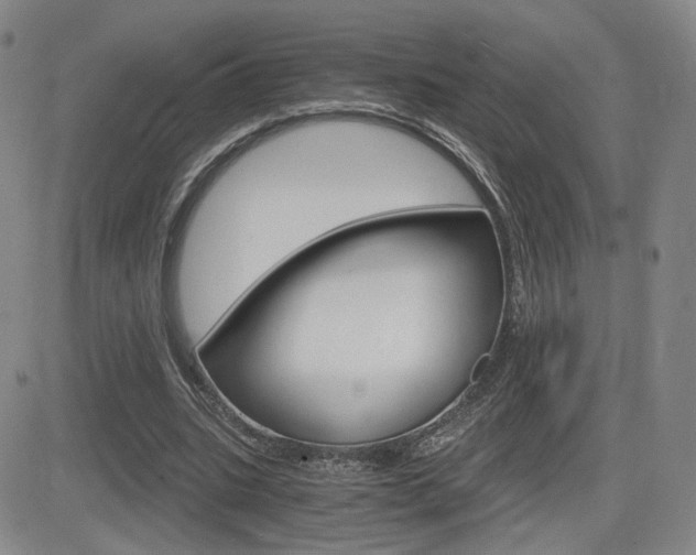 X0000084570535200702230912