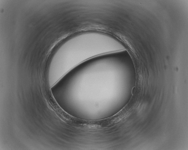 X0000084570539200702230912