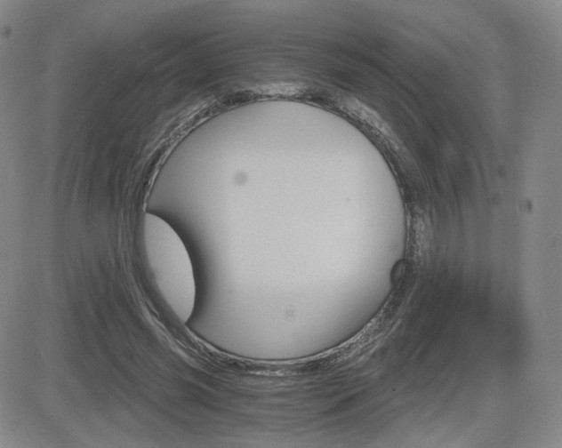 X0000084570541200702230912