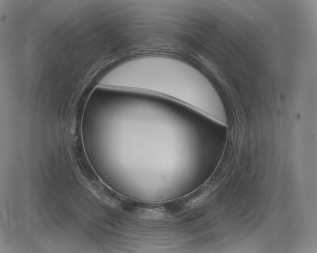 X0000084570548200702230912