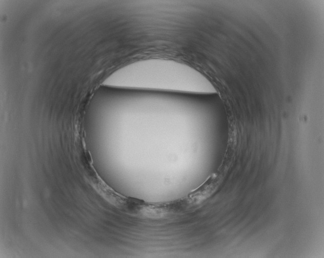 X0000084570568200702230912