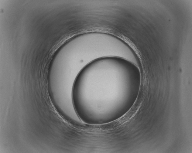 X0000084570577200702230912