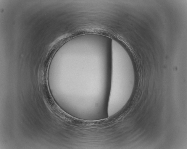 X0000084570587200702230912