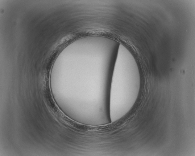 X0000084570591200702230912