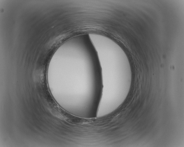 X0000084570595200702230912