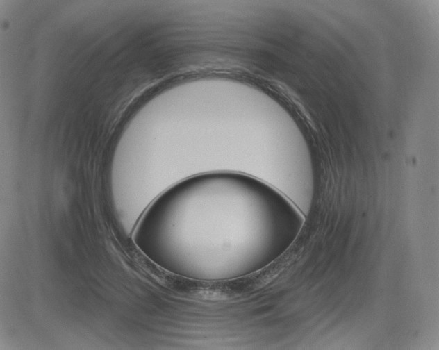 X0000084570596200702230911