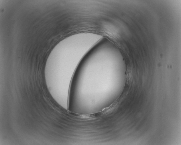 X0000084570623200702230911