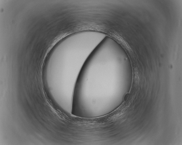 X0000084570626200702230910
