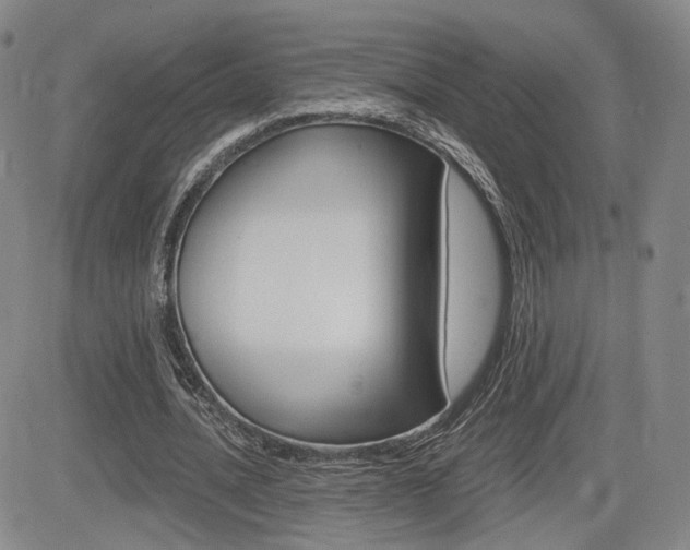 X0000084570628200702230910