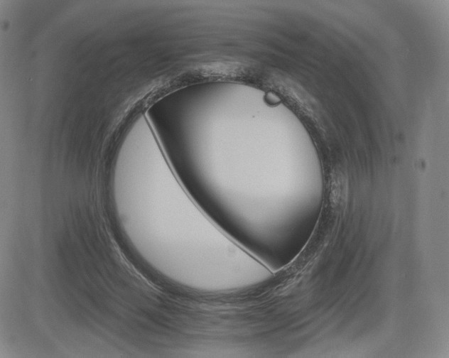 X0000084570637200702230910