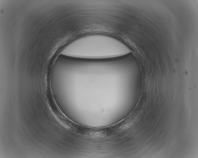 X0000084570638200702230910