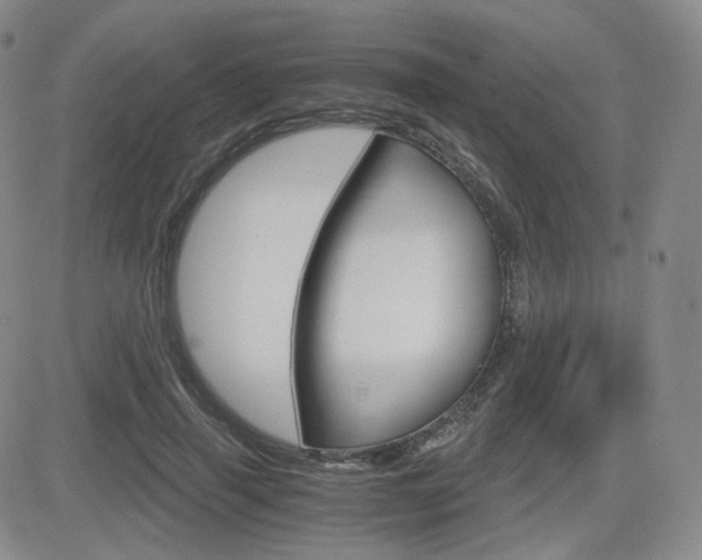 X0000084570645200702230911