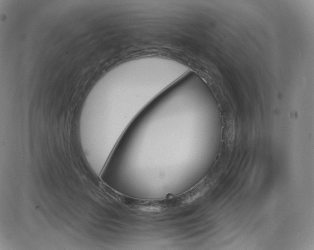 X0000084570653200702230911