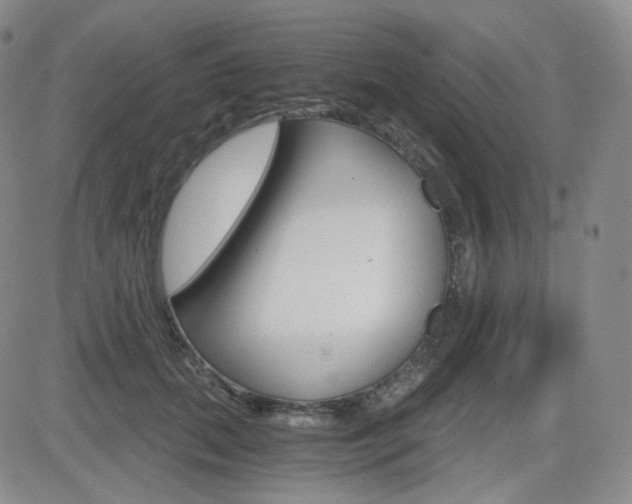 X0000084570655200702230911