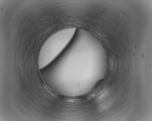X0000084570657200702230911