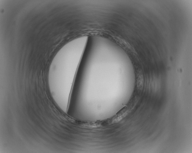 X0000084570661200702230911