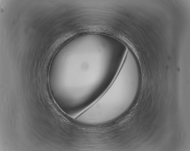 X0000084570673200702230910