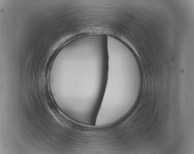 X0000084570674200702230910