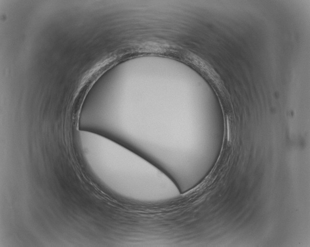X0000084570675200702230910