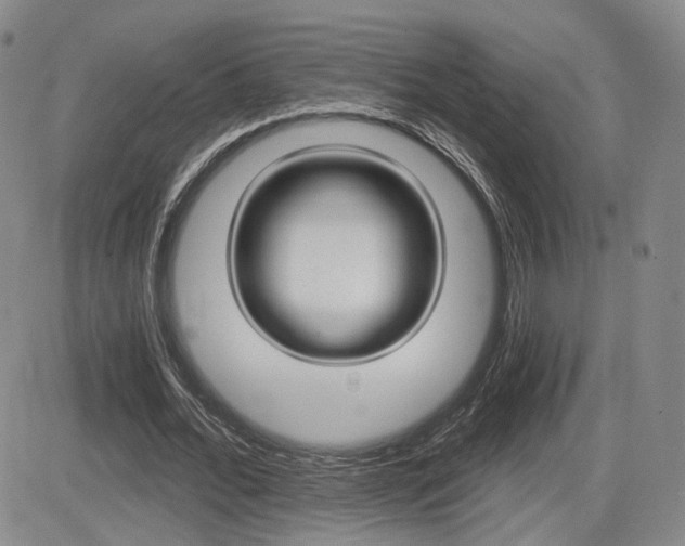 X0000084570676200702230910