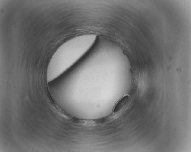X0000084570719200702230909